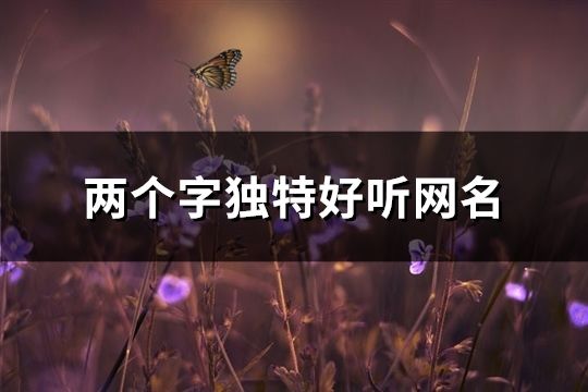 两个字独特好听网名(精选183个)