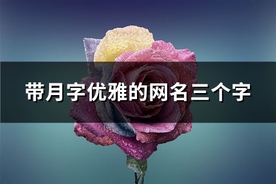 带月字优雅的网名三个字(精选56个)