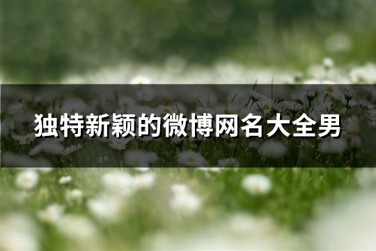 独特新颖的微博网名大全男(共110个)