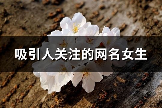 吸引人关注的网名女生(精选148个)