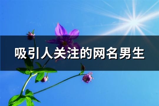 吸引人关注的网名男生(精选174个)