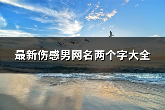 最新伤感男网名两个字大全(116个)