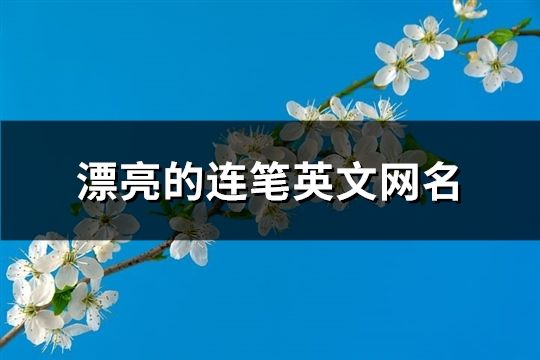 漂亮的连笔英文网名(精选182个)