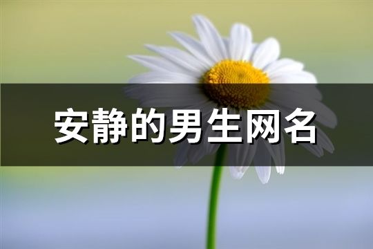 安静的男生网名(共124个)