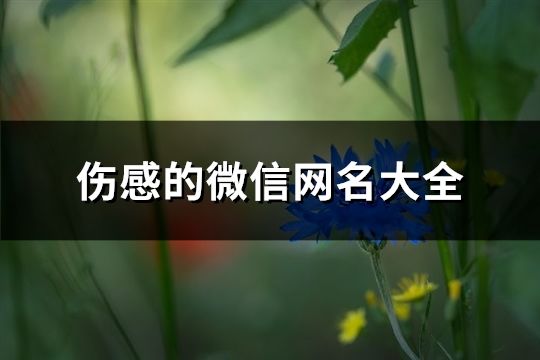 伤感的微信网名大全(共141个)