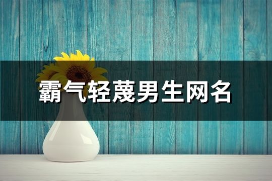 霸气轻蔑男生网名(共153个)