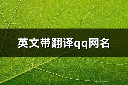 英文带翻译qq网名(精选94个)