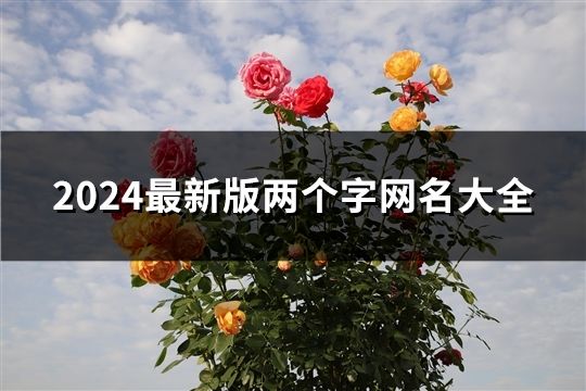 2024最新版两个字网名大全(共60个)