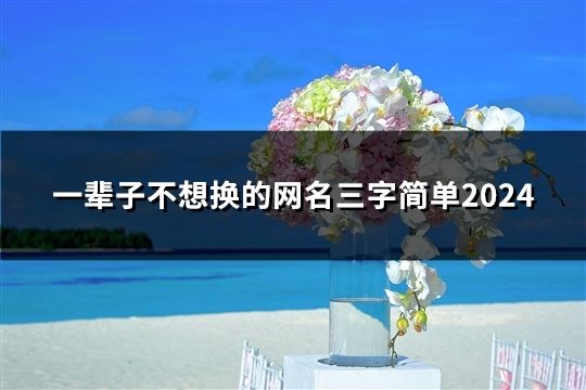 一辈子不想换的网名三字简单2024(共160个)