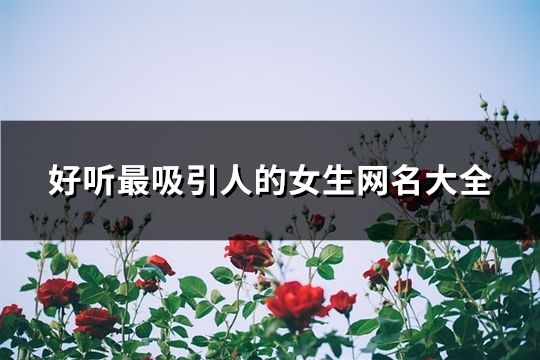 好听最吸引人的女生网名大全(174个)