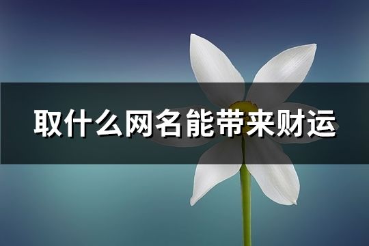 取什么网名能带来财运(精选157个)