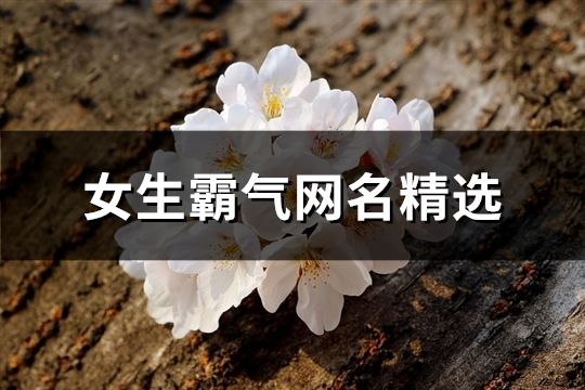 女生霸气网名精选(199个)