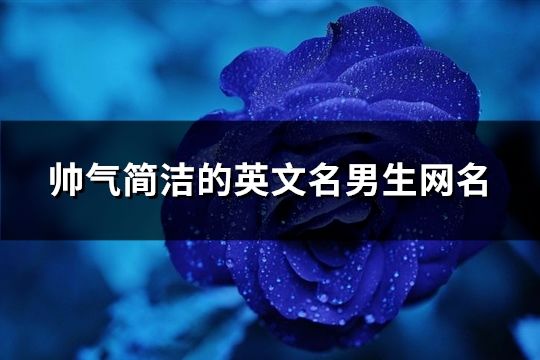 帅气简洁的英文名男生网名(166个)