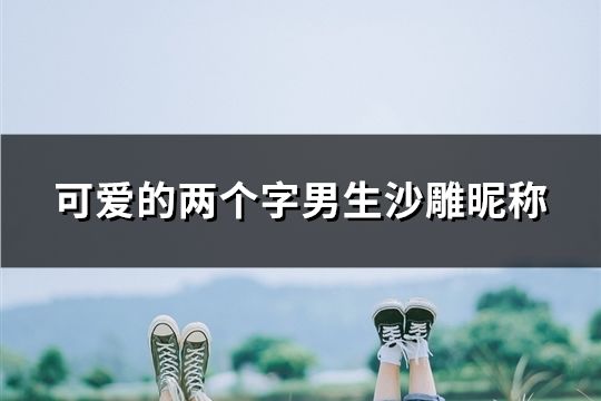 可爱的两个字男生沙雕昵称(共65个)