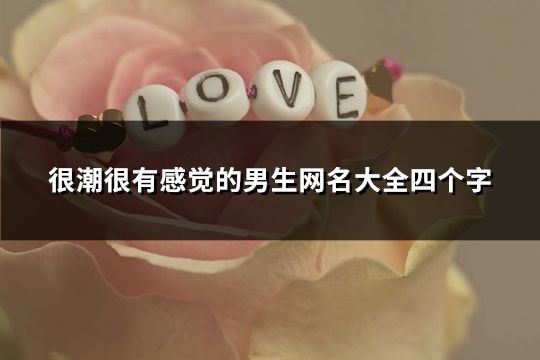 很潮很有感觉的男生网名大全四个字(43个)