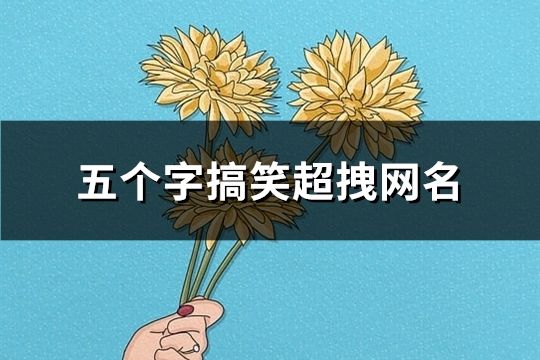 五个字搞笑超拽网名(153个)