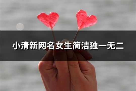 小清新网名女生简洁独一无二(精选33个)