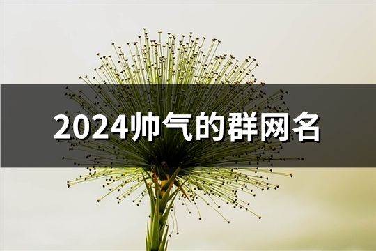 2024帅气的群网名(184个)