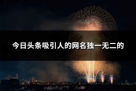 今日头条吸引人的网名独一无二的(33个)