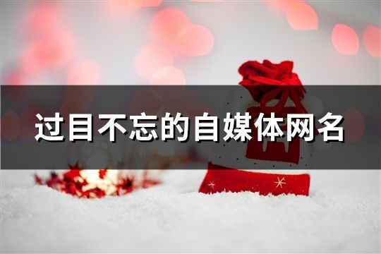 过目不忘的自媒体网名(57个)