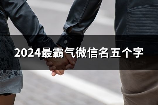 2024最霸气微信名五个字(共47个)