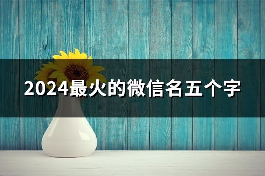 2024最火的微信名五个字(精选52个)