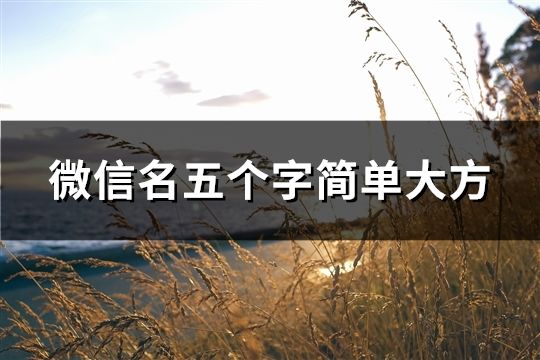 微信名五个字简单大方(共46个)