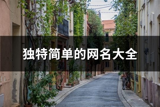 独特简单的网名大全(149个)