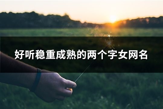 好听稳重成熟的两个字女网名(共95个)