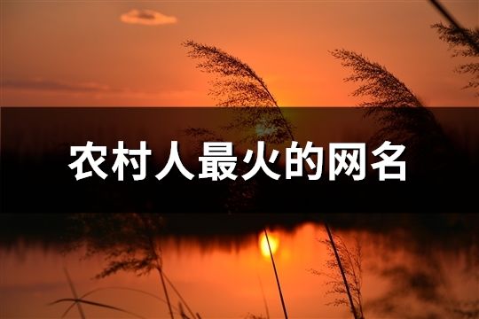 农村人最火的网名(共40个)