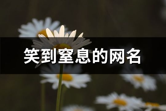 笑到窒息的网名(共37个)