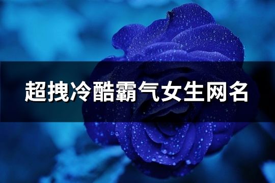 超拽冷酷霸气女生网名(共146个)