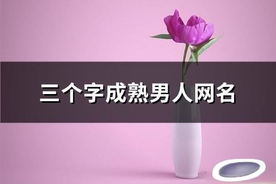 三个字成熟男人网名(145个)