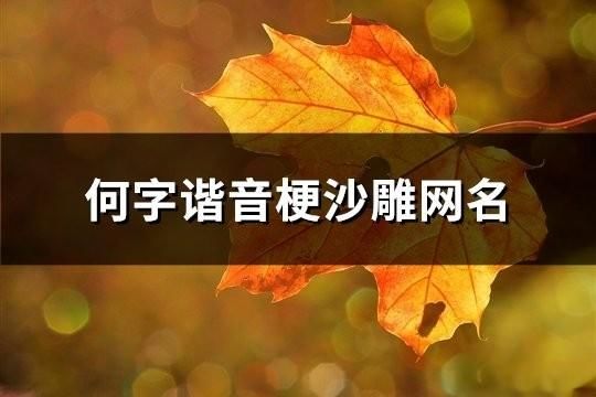 何字谐音梗沙雕网名(76个)