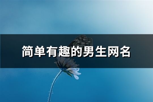 简单有趣的男生网名(精选127个)