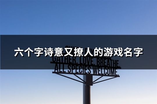 六个字诗意又撩人的游戏名字(41个)