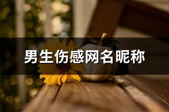 男生伤感网名昵称(共155个)