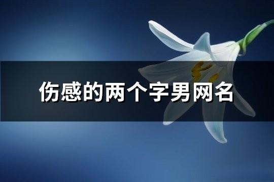 伤感的两个字男网名(精选176个)