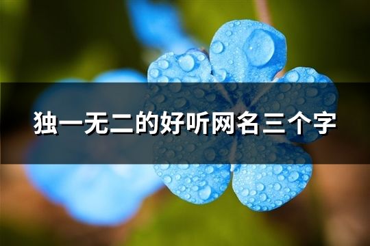 独一无二的好听网名三个字(177个)