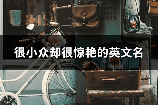 很小众却很惊艳的英文名(117个)