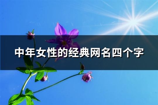 中年女性的经典网名四个字(共854个)