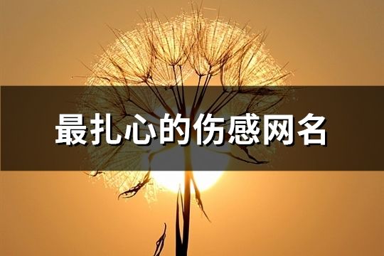 最扎心的伤感网名(295个)