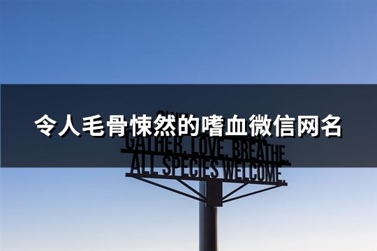 令人毛骨悚然的嗜血微信网名(共169个)