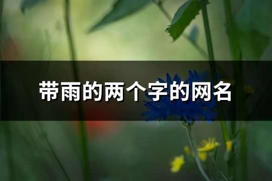 带雨的两个字的网名(59个)