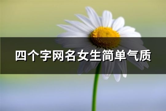 四个字网名女生简单气质(231个)