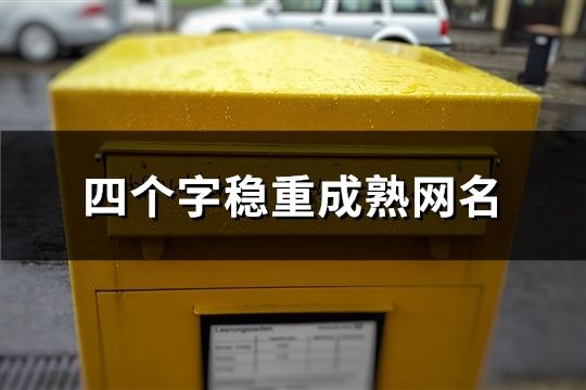 四个字稳重成熟网名(共1053个)