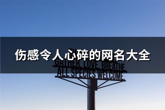 伤感令人心碎的网名大全(精选606个)