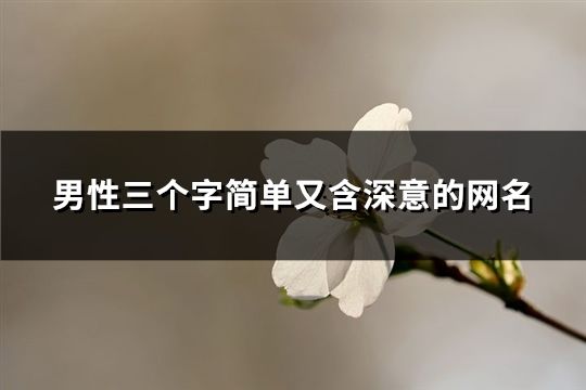 男性三个字简单又含深意的网名(1450个)