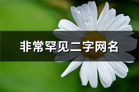 非常罕见二字网名(精选2178个)