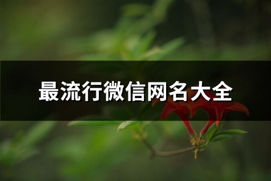 最流行微信网名大全(精选1355个)